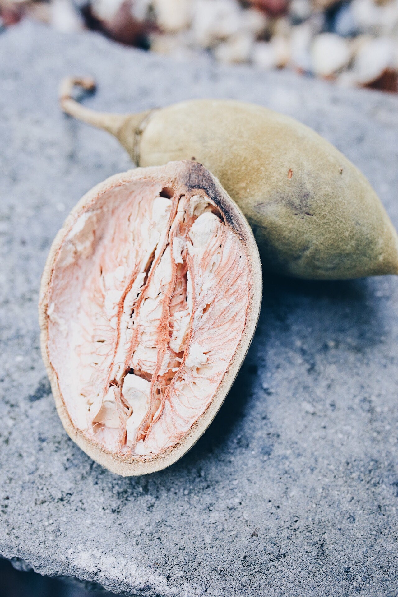 Where Can I Buy Baobab Powder?